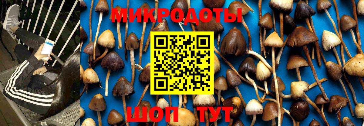 Галлюциногенные грибы мицелий Сергиев Посад